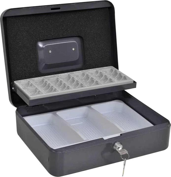 Produktbild vidaXL Tragbare Sicherheitsbox (6.48 l)