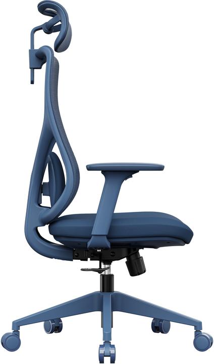 Actual product image Sense7 Moyo