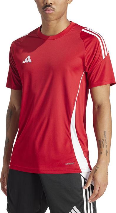 Actual product image adidas TIRO24 JSY (XS)