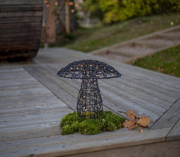 Produktbild Star Trading Outdoor Decoration Otto (IP44)