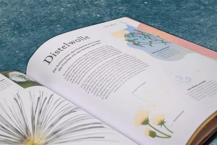 Produktbild Grosse und kleine Schätze der Natur (Deutsch, Ben Hoare, 2022)