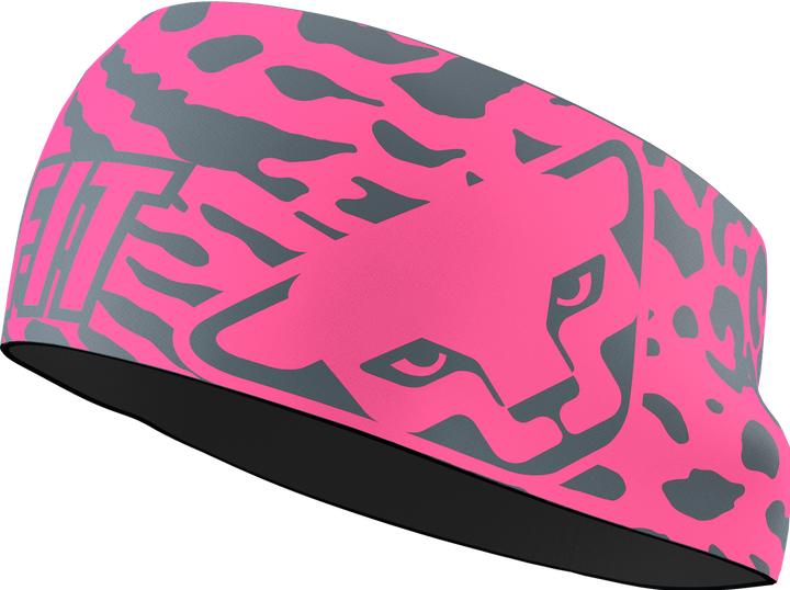 Image du produit Dynafit Graphic Performance Stirnband
