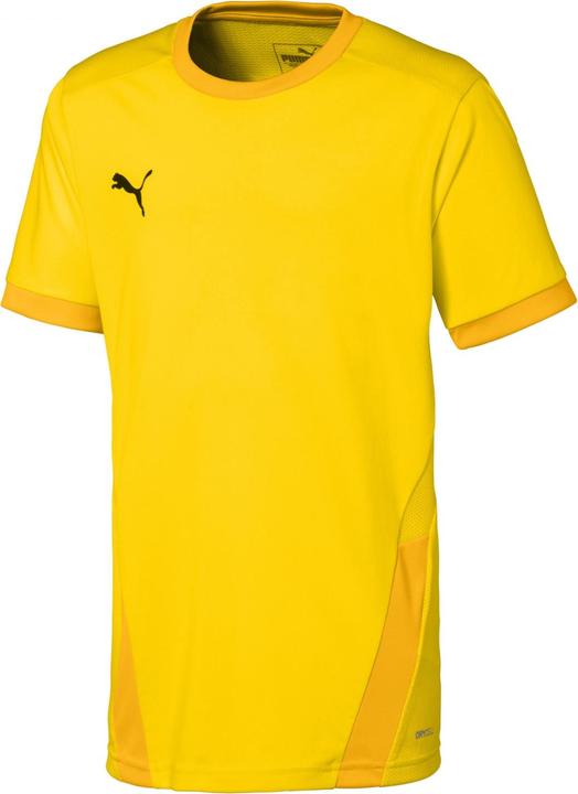 Actual product image Puma teamGOAL 23 Jersey jr-704160 (128)