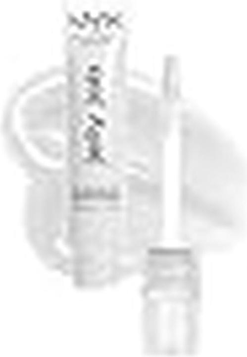 Actual product image NYX Professional Make-Up Jelly Job (01 Just Jelly)