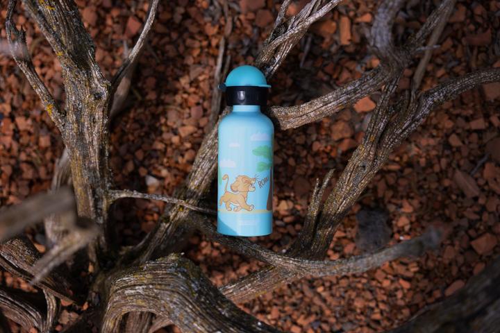 Image du produit Sigg Simba Roar (0.40 l)