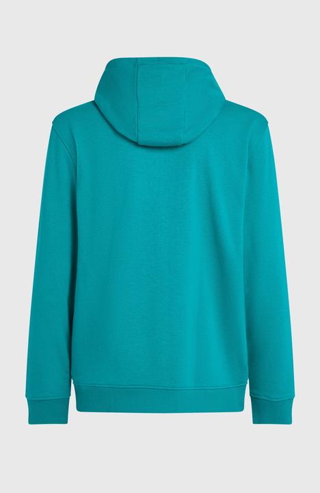 Actual product image O'Neill Graphic Hoodie (XL)
