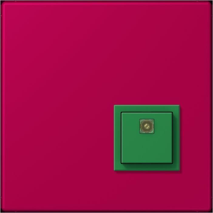 Actual product image JUNG Switch-off button