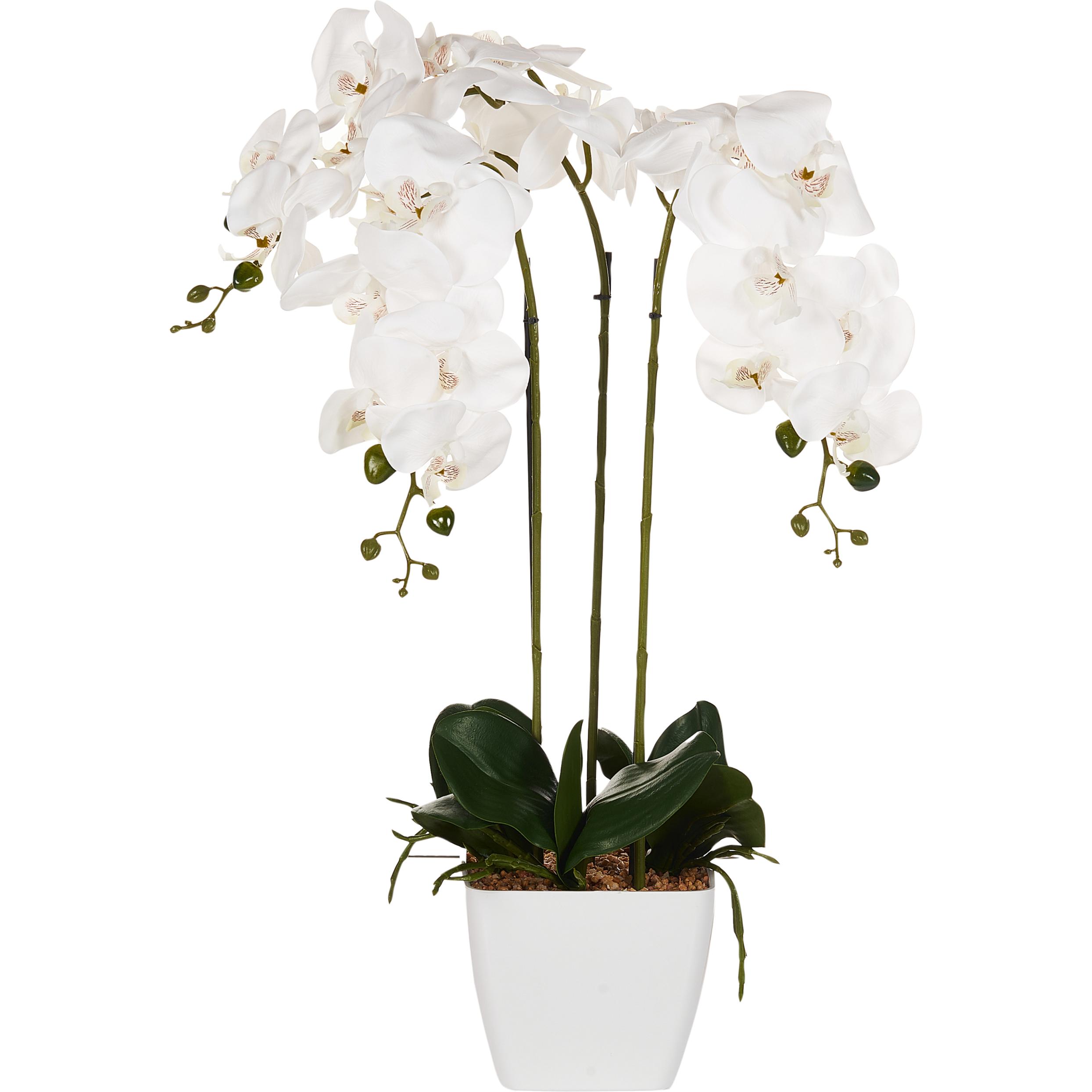 Thumbnail - Beliani, Kunstpflanzen, Oncidium Orchid (59 cm)