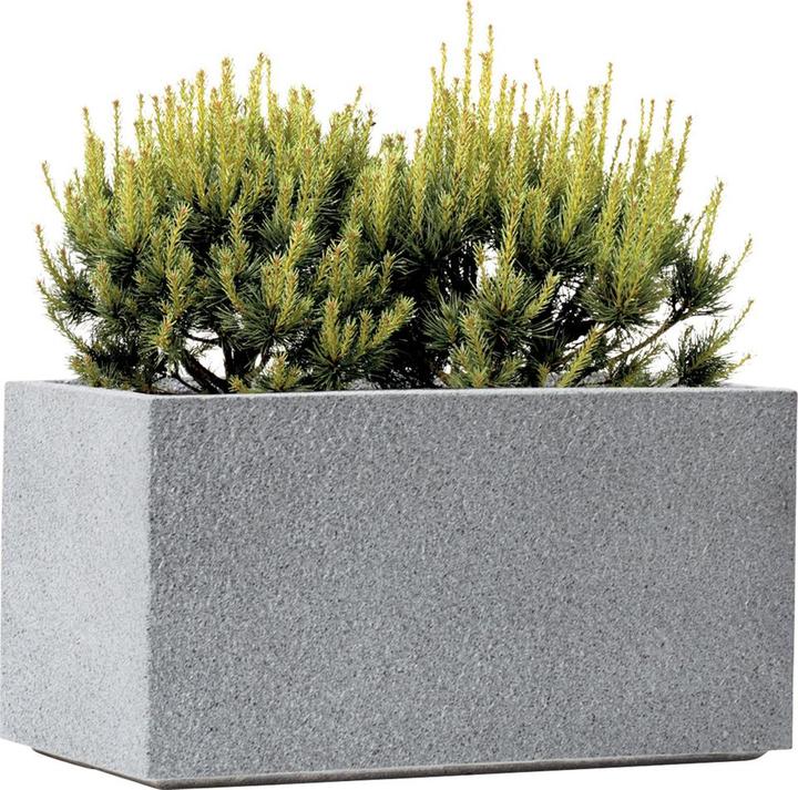 Immagine prodotto Kirschke Rockline (31 cm)