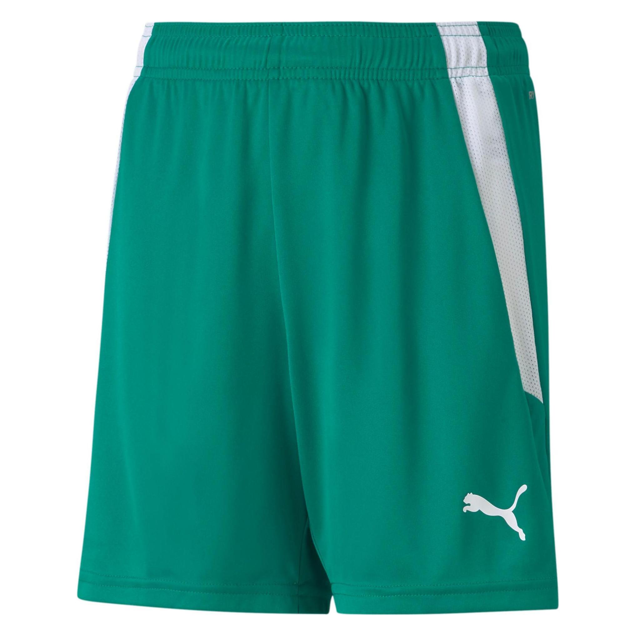 Puma, Unisex, Sporthose, TeamLIGA Shorts Jr-704931 (140), Grün