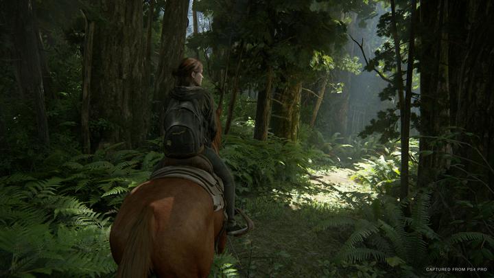 Produktbild Sony The Last of Us Part II (2) (PS4, EN)