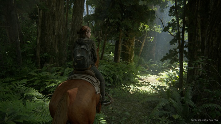 Produktbild Sony The Last of Us Part II (2) (PS4, EN)