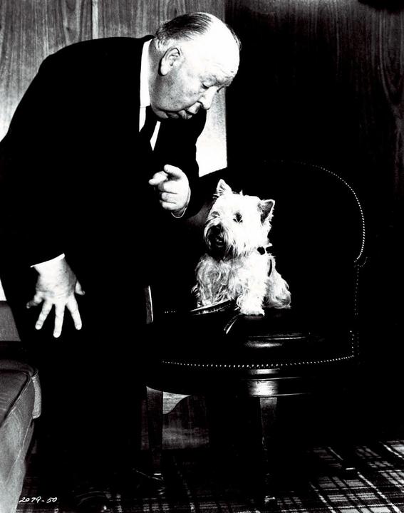 Produktbild Das Fenster zum Hof (Blu-ray, 1954, Deutsch, Spanisch, Französisch, Japanisch, Italienisch, Englisch)