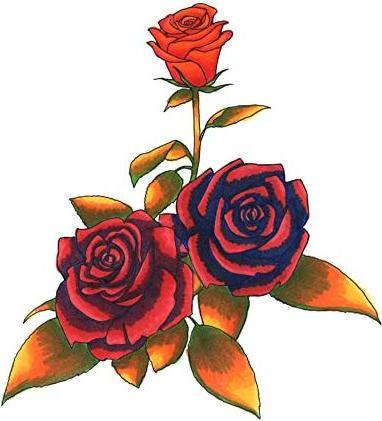 Image du produit Copic Primaire (6x)