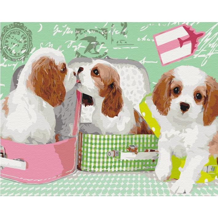 Syma Picture Paint it! Painting by numbers Sweet dogs