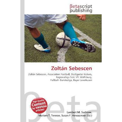 Zoltán Sebescen, Ratgeber