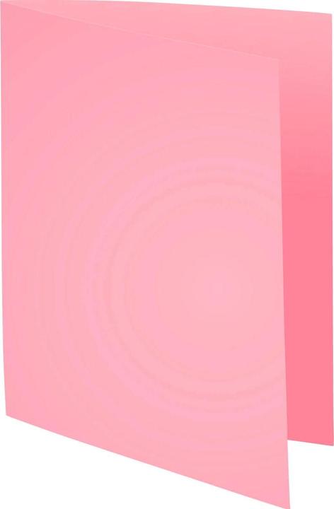 Exacompta BAHIA 220 - File cover A4 (A4, 100 x)