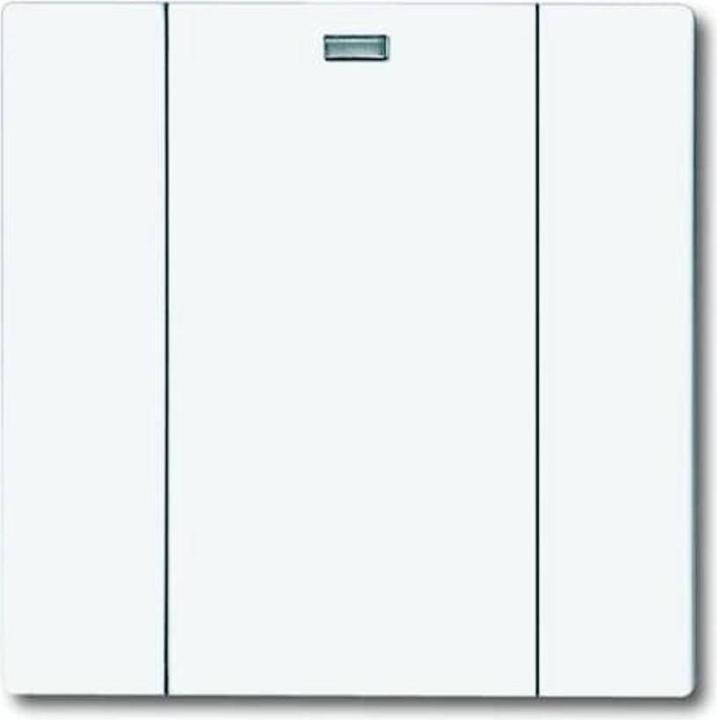 Busch-Jaeger Control element