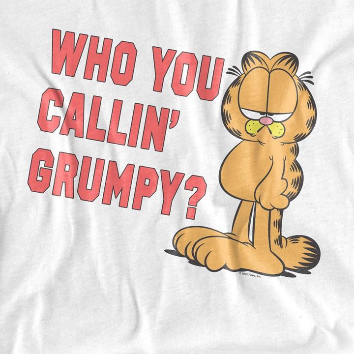 Produktbild Garfield Who You Callin Grumpy TShirt (S)