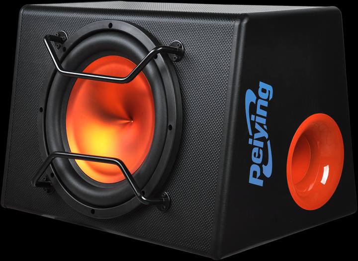 Actual product image Peiying Subwoofer PY-BB300X