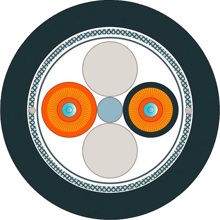 Siemens Fibre optic cable (300 m)