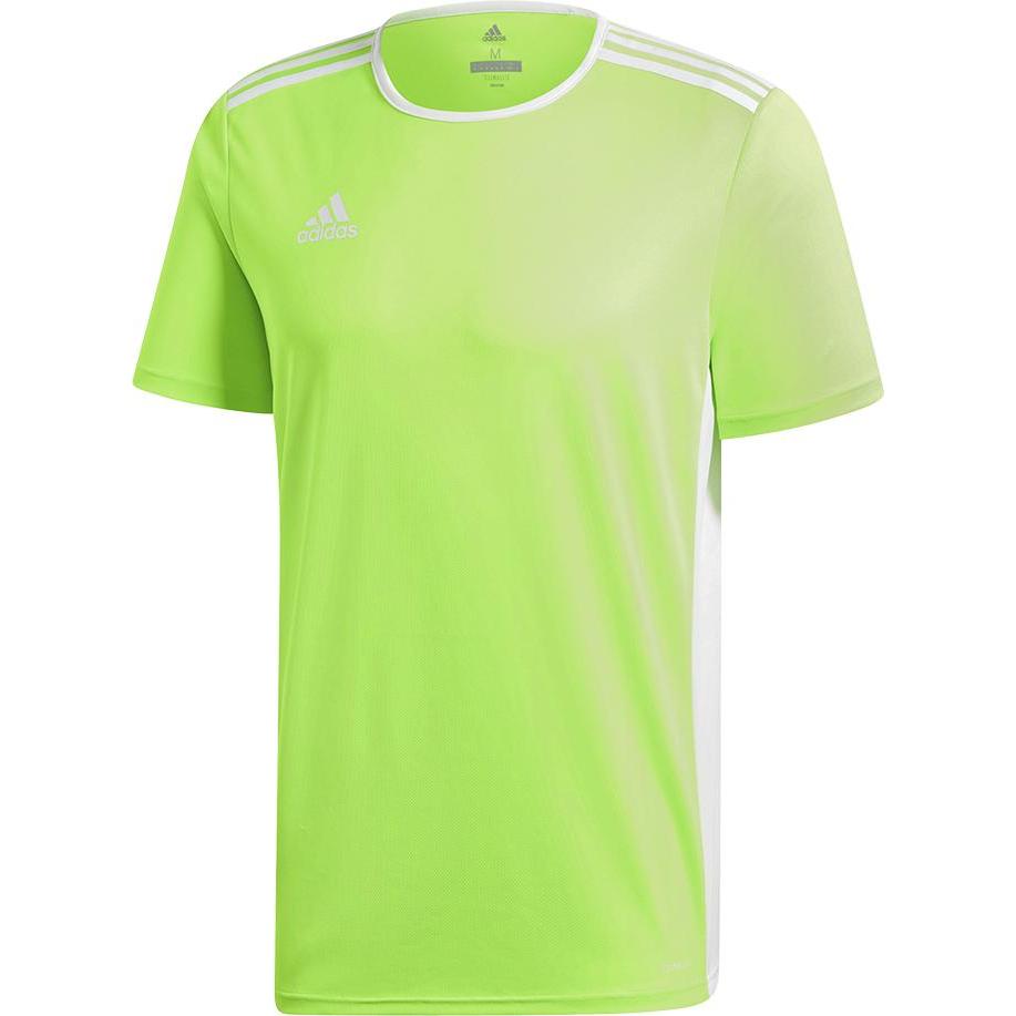 adidas, Unisex, Sportshirt, Entrada 18 Fussballtrikot Kinder (128), Grün, 128