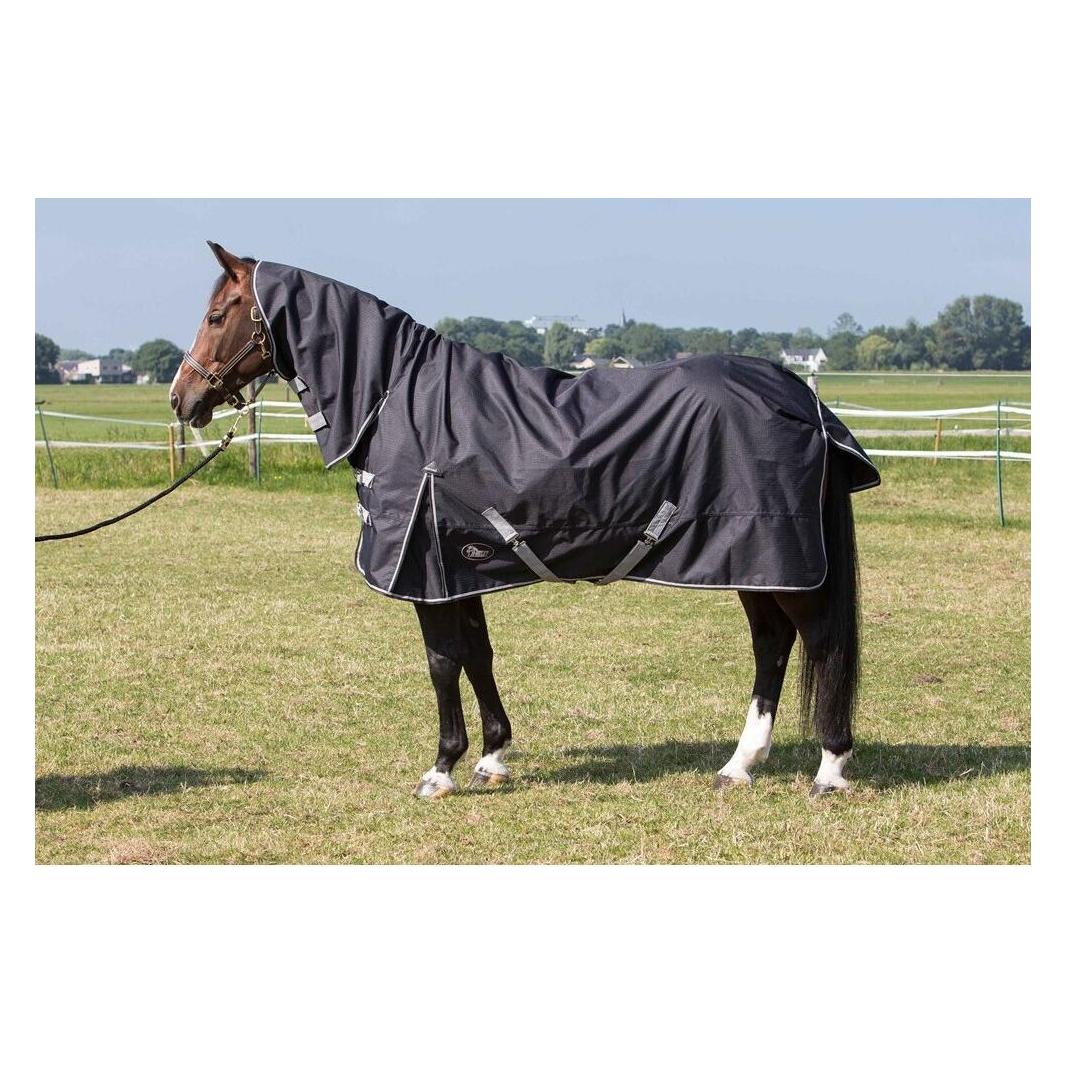 Harry's Horse, Pferdedecke