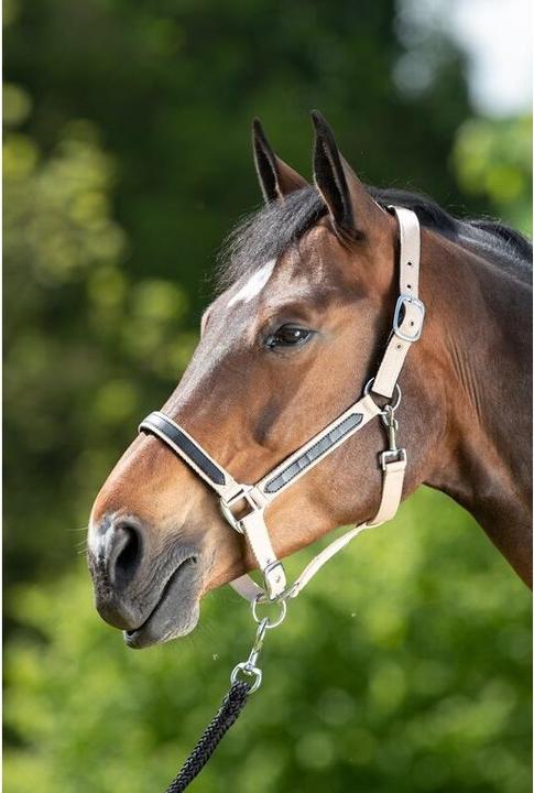 Produktbild HFI Master First