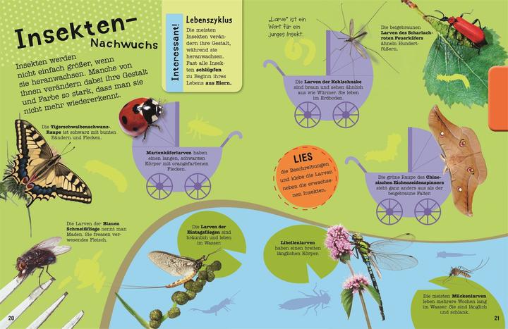 Produktbild Das Mach-Malbuch Insekten
