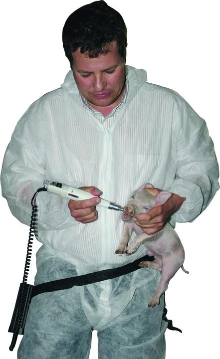 Actual product image Kerbl ProPig cordless tooth grinder 12 - 18 V / 40 W