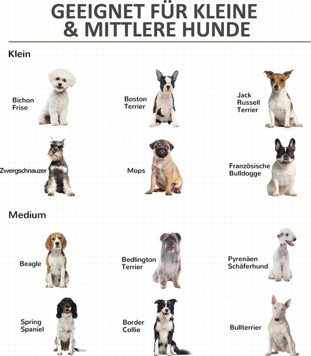 Image du produit PawHut Cage pour chiens avec design surélevé