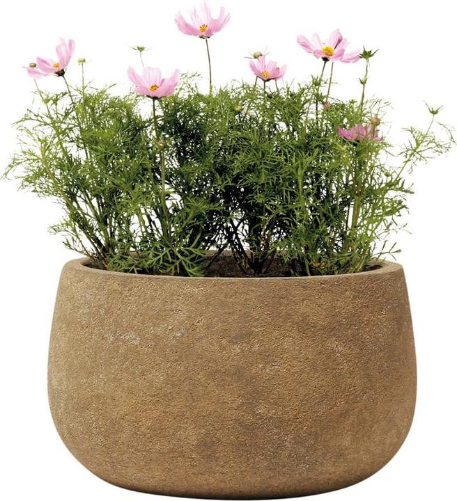 Image du produit Kirschke Rockline (25 cm)