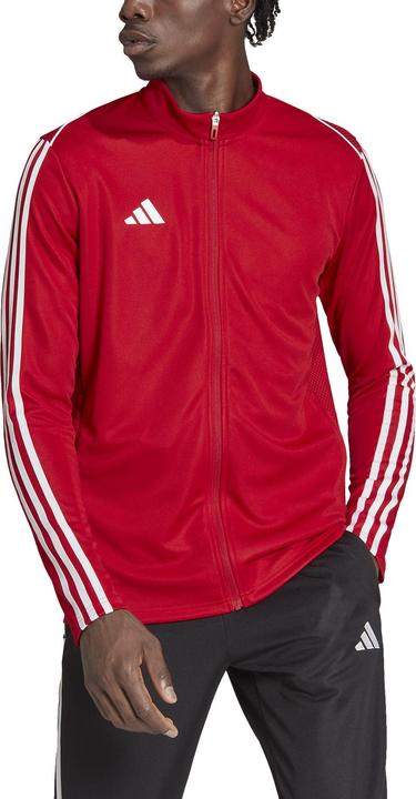 Actual product image adidas Tiro 23 League Training Jacket Men (M)