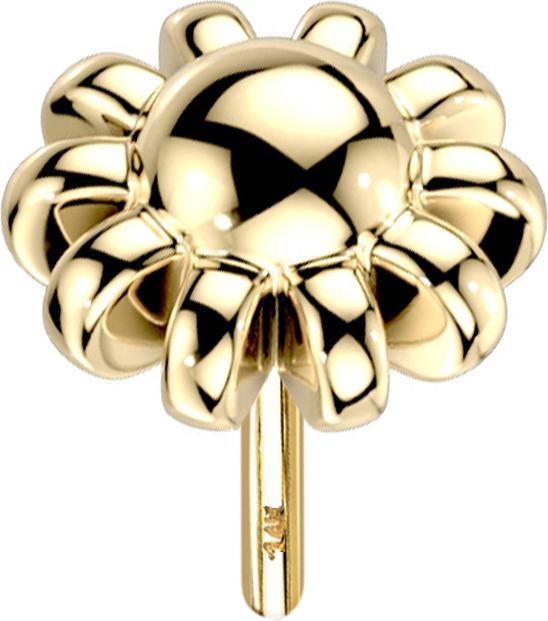 Produktbild Star Piercing Threadless 14k gold Kugel mit Kugelrand (14k Gold, ohne Messing)
