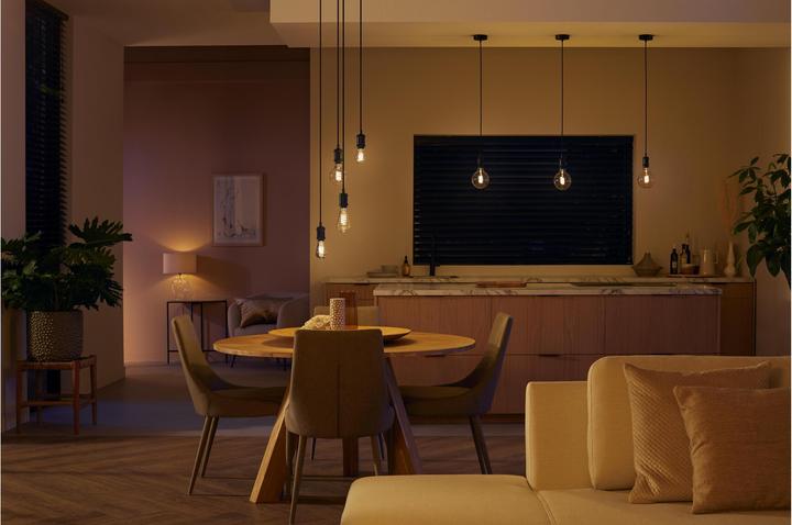 Produktbild Philips Hue Philips E27 Einzelpack Giant Globe (E27, 7 W, 550 lm, 1 x, G)