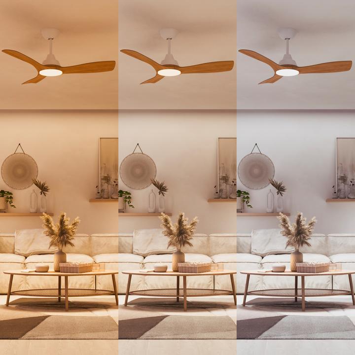 Immagine prodotto Philips Olas