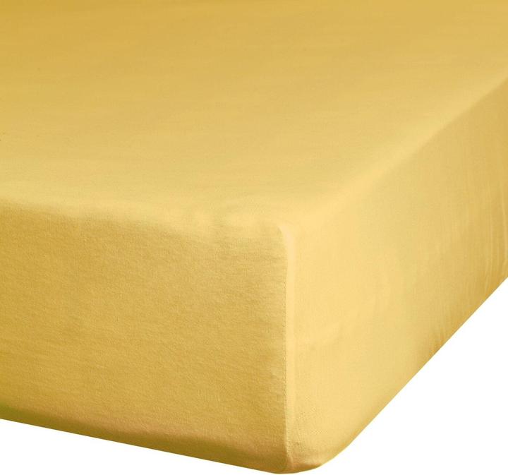 Actual product image Eurofirany By (220 x 200 cm)