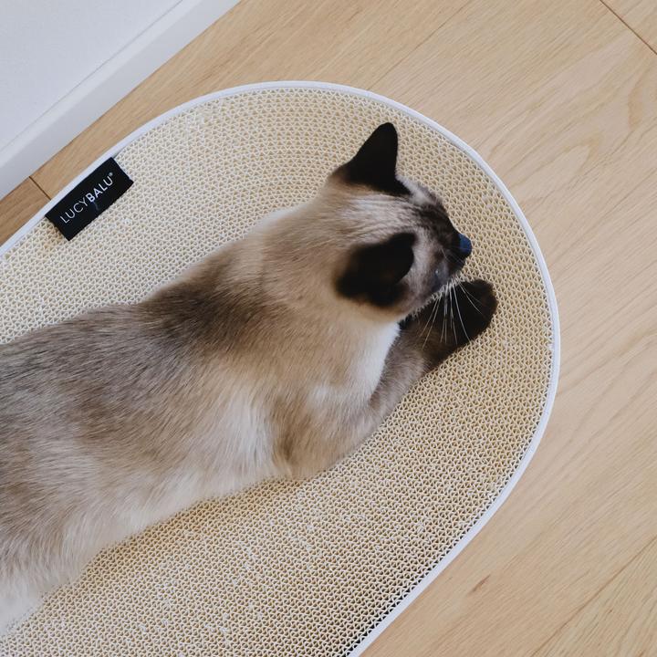 Produktbild LucyBalu SCRATCHBED Kartonbett (Katze)