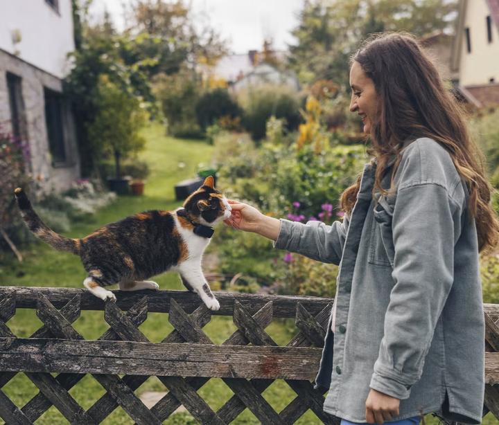 Image du produit Tractive CAT Mini tracker GPS pour chats (Chat, Général)