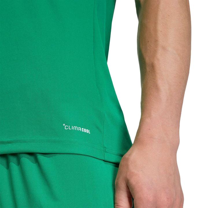 Actual product image Adidas Entrada T-Shirt (M)