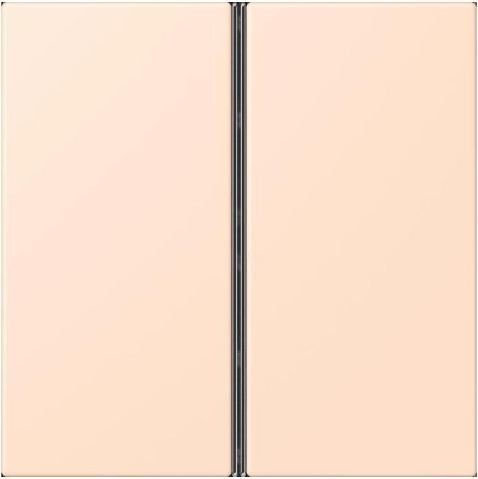 Actual product image JUNG Key set