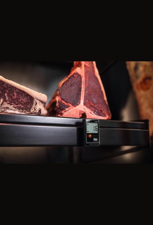Image du produit Testo Enregistreur multi-données 174H