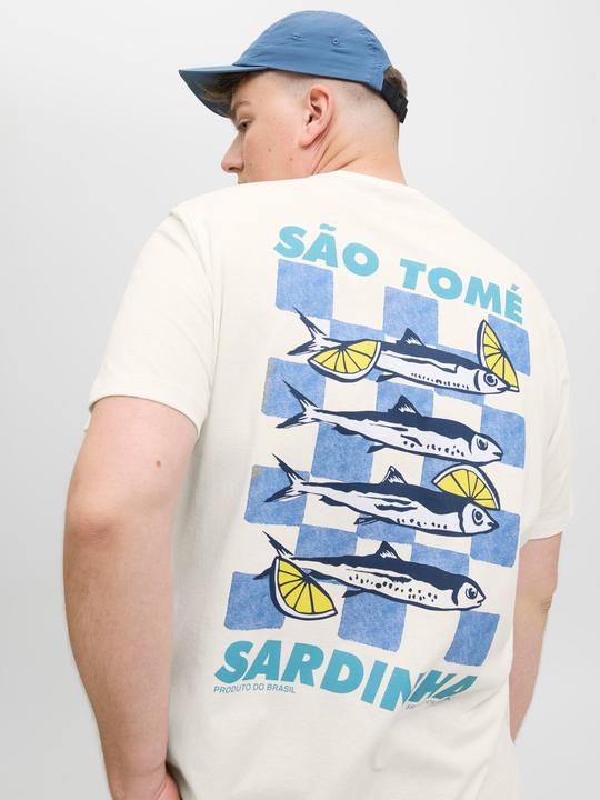 Actual product image Jack & Jones Normal geschnitten Rundhalsausschnitt Plus T-Shirt T-shirt (3XL)