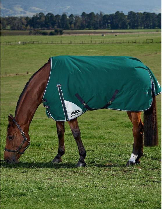 Produktbild Weatherbeeta Comfitec Plus Dynamic 100g (155 cm)