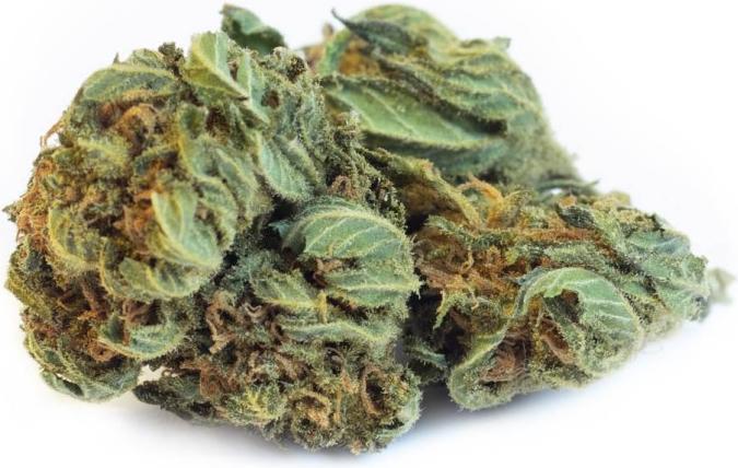 Produktbild B-Chill Ragnar Outdoor 5g (9.60 g, Outdoor)