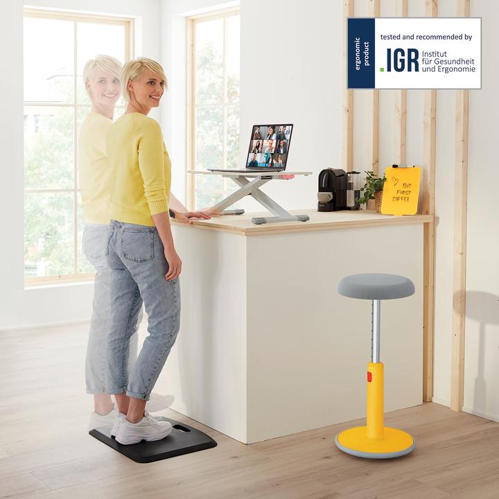 Actual product image Leitz Desk Converter Ergo Cosy