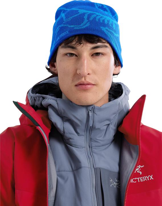 Actual product image Arc'teryx Bird Head (One size)