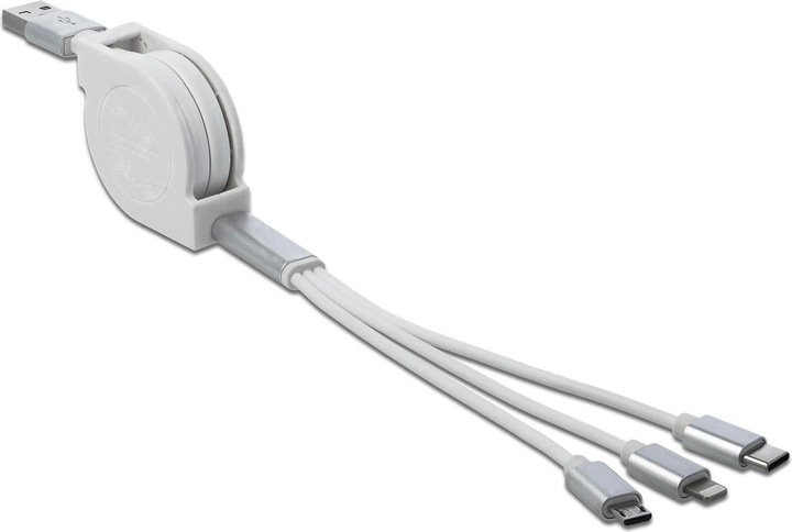 Delock USB 3.0 adapter cable (0.98 m, USB 2.0)