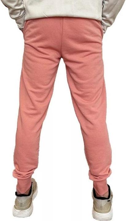 Actual product image Puma ESS+ 2 Col Logo Tracksuit Bottoms (XL)