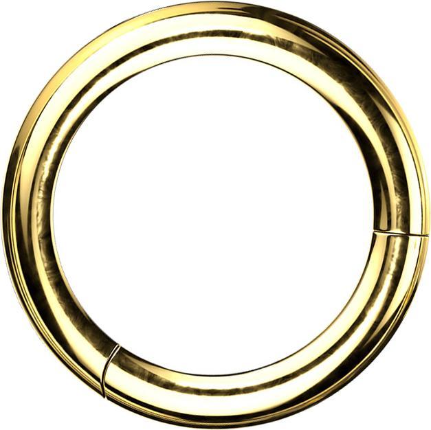 Produktbild Star Piercing Segmentring klappbar vergoldet (Titan G23)